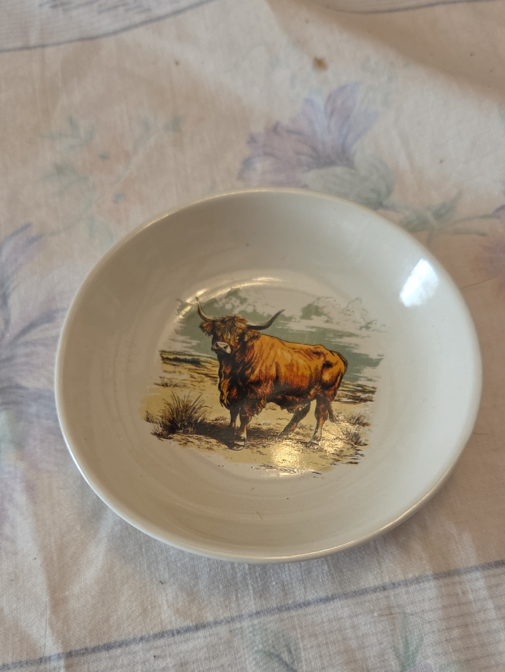 Ring Dish with Highland Cow